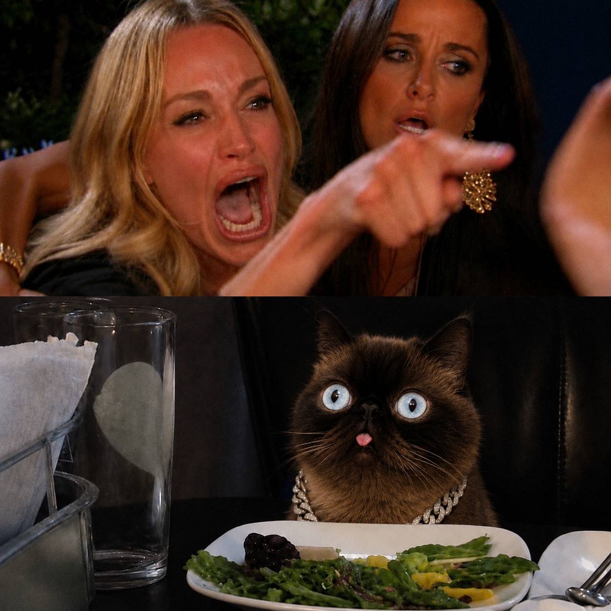 Neko at dinner while a woman points dramatically